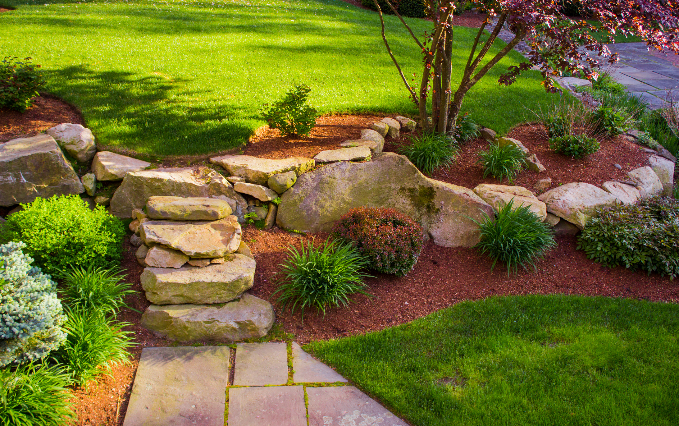 A backyard with a rock wall and rock stairs with a red tree on top. best landscaping