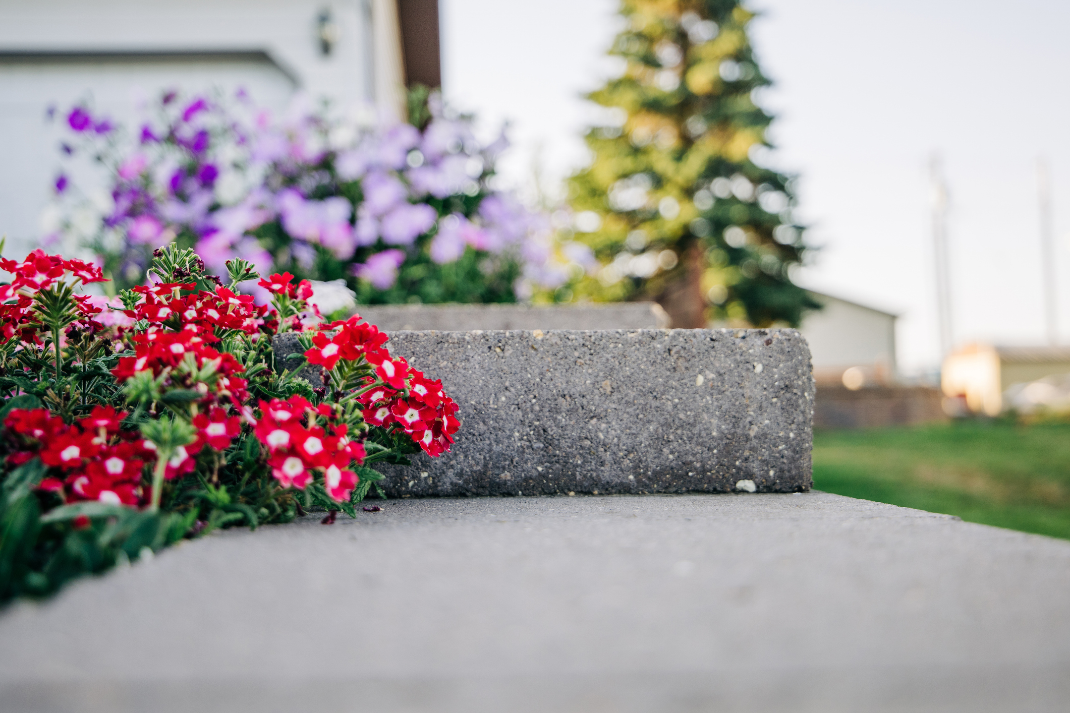 colorful and bright flower beds outside a home in the north. A variety of plants all in bloom in the summer. Curb appeal