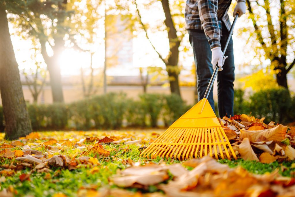 fall home maintenance: A person uses a yellow rake to gather fallen leaves in a park, surrounded by vibrant autumn foliage. Working with a fan rake in an orchard. Lawn and orchard care in autumn on a sunny day.