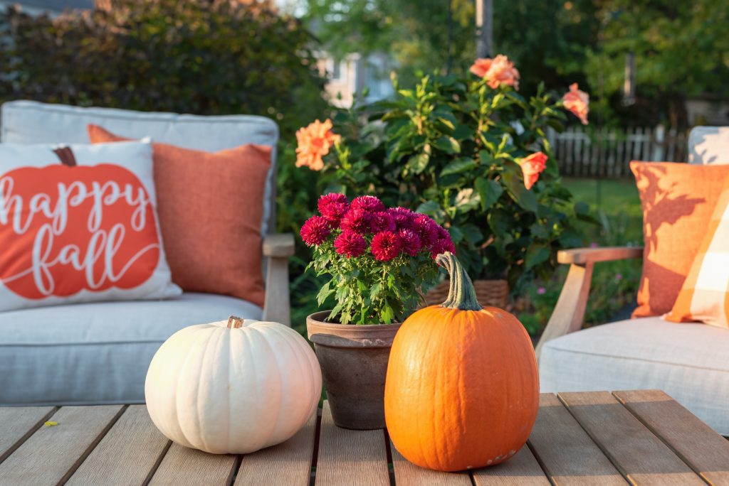 Backyard patio furniture styled for fall outdoor space