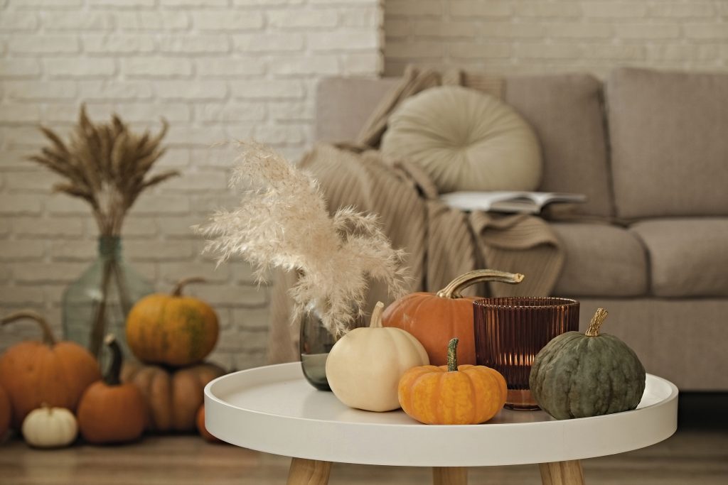 Bunch of pumpkins of different kinds, shapes and colors on the floor and a table near the couch of a living room. Symbol of autumnal holidays with a lot of copy space for text, close up, background.