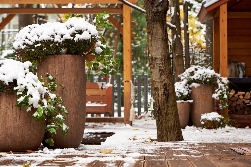 winter yard preparation. winter landscape, snow-covered vases with flowers in the garden in autumn